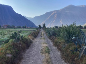 BREEMA in the Sacred Valley of Peru Post 5